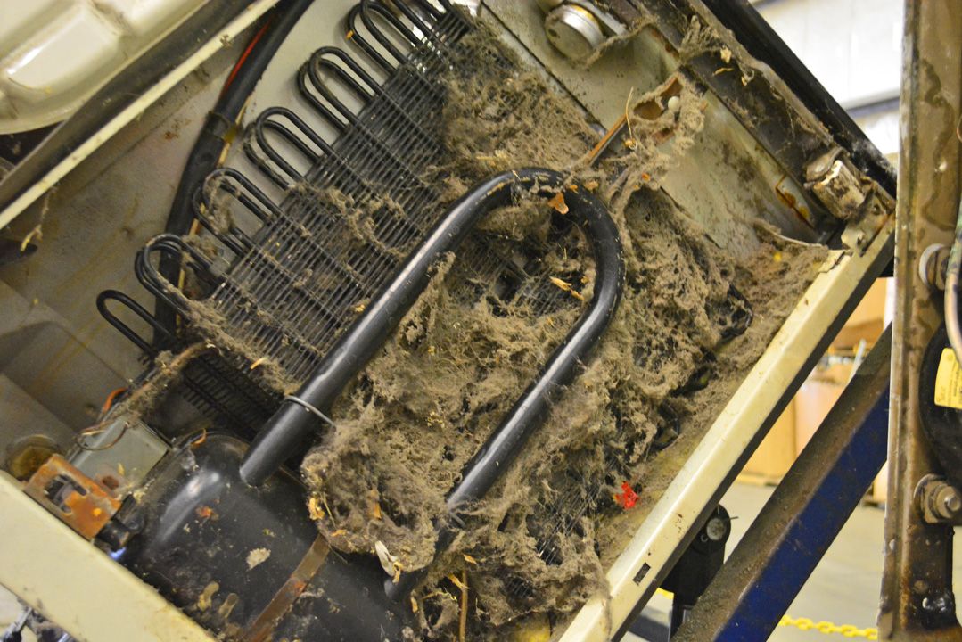 Save Money On Your Electricity Bill With These Freezer & Refrigerator